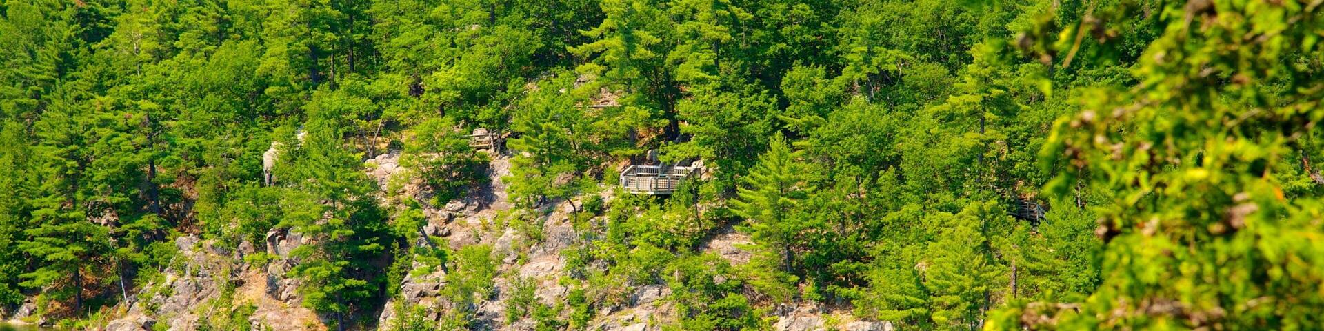 A lake surrounded by dense green forest and rocky cliffs.