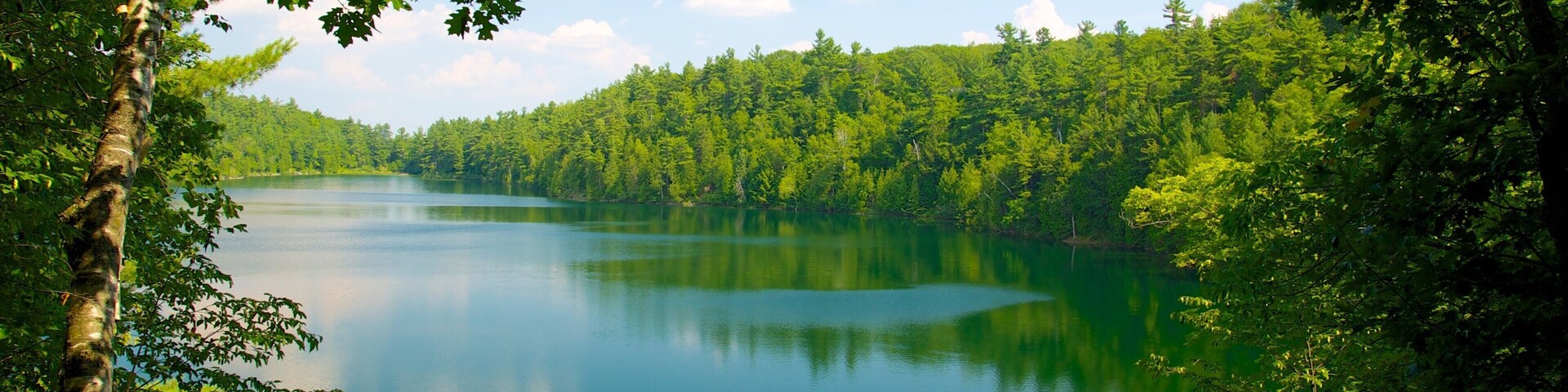 Gatineau Park which includes landscape views, a park and a lake or waterhole