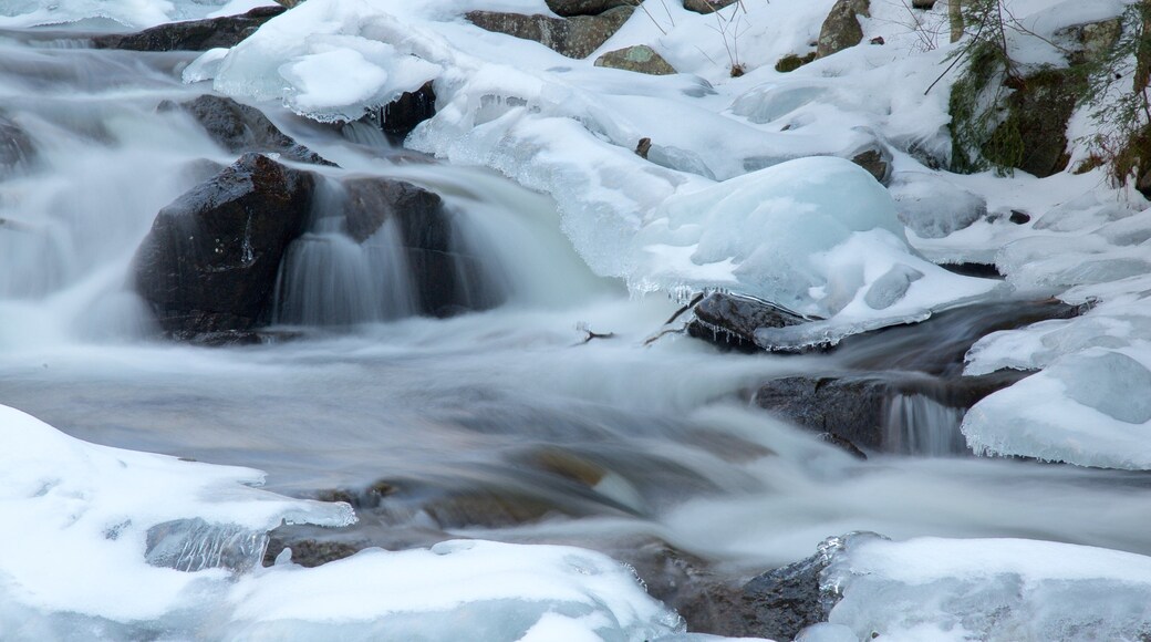 Gatineau Park featuring a cascade and snow