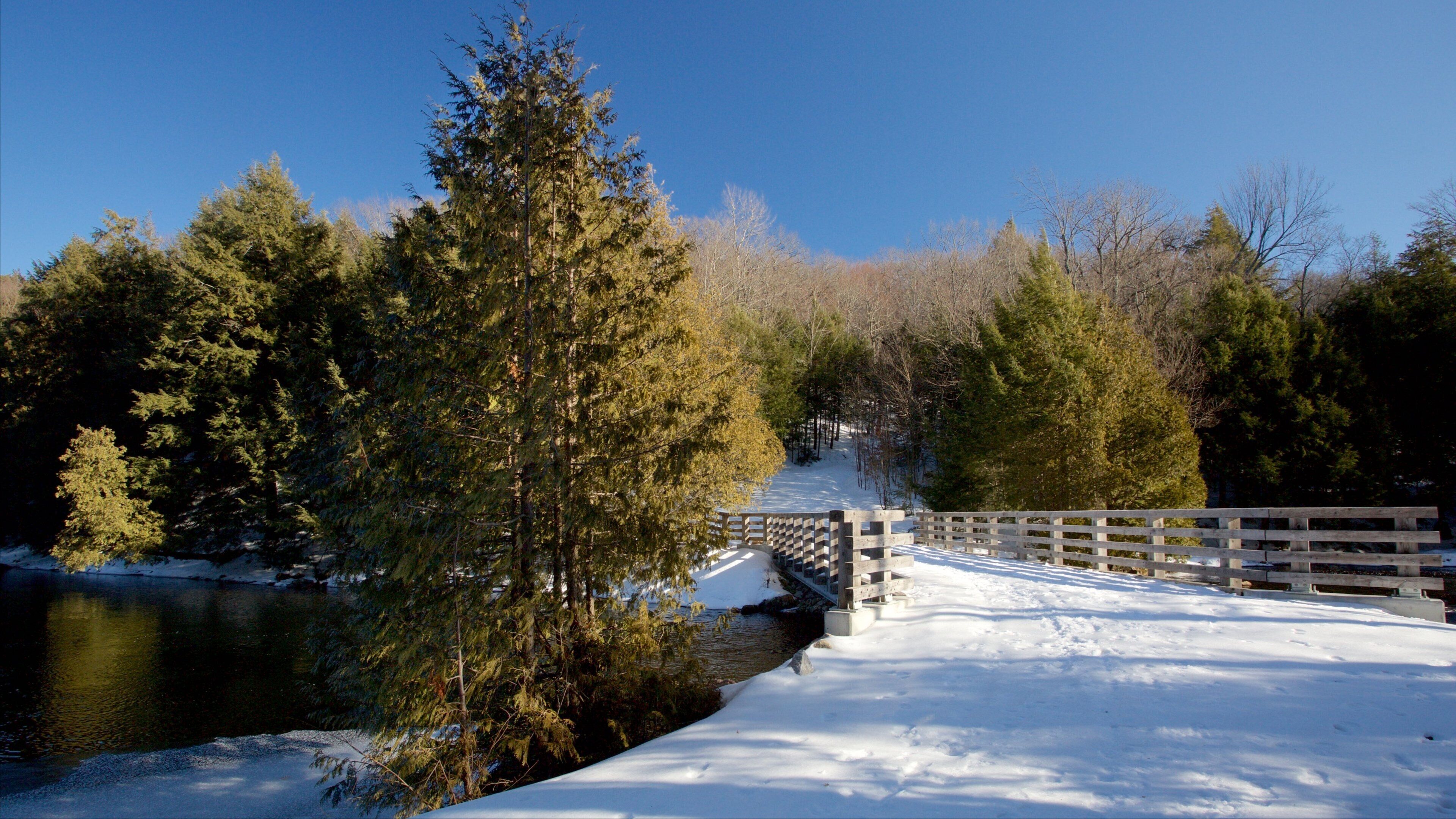 Gatineau Park which includes snow and a bridge