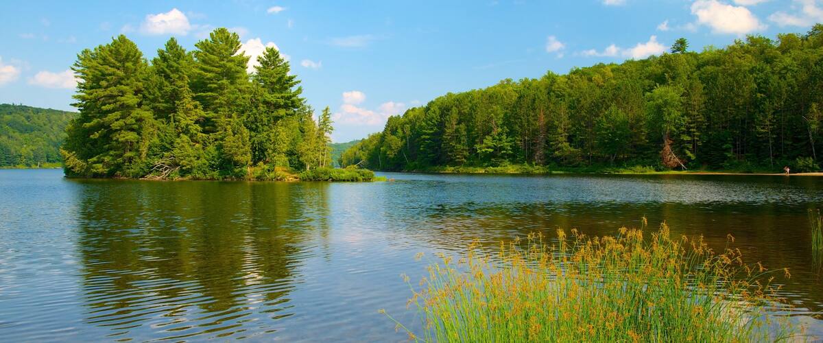 Gatineau Park featuring a garden, a lake or waterhole and forests