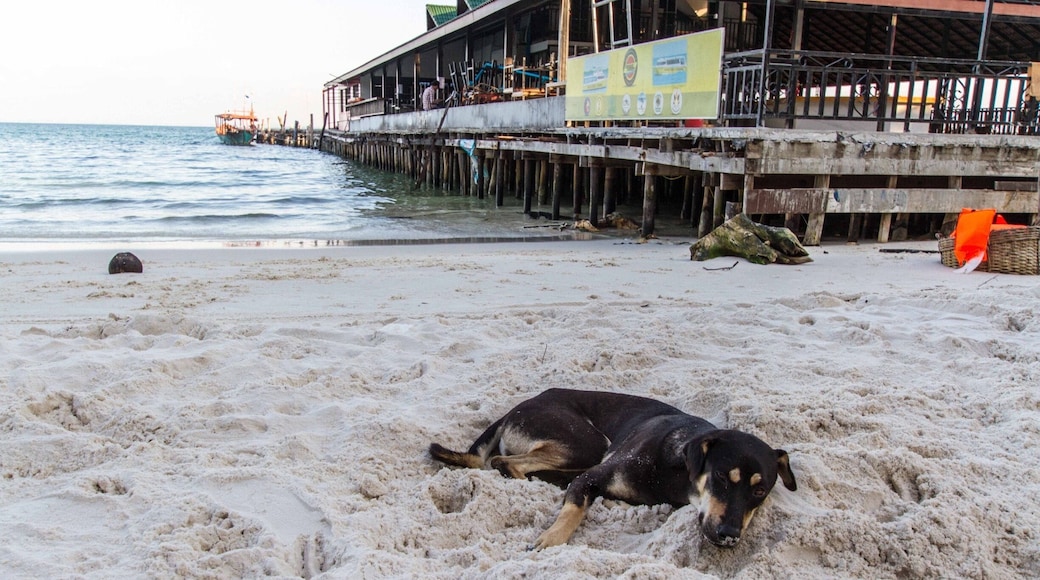 It’s a #dog’s life, on Koh Rong, #Cambodia 🇰🇭...
#BeachTips
#LifeAtExpedia