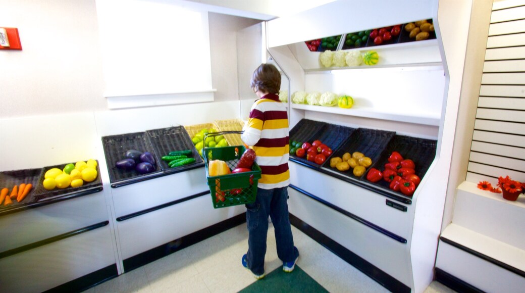 The Magic House, St. Louis Children\'s Museum mostrando mercados y vistas interiores y también un niño