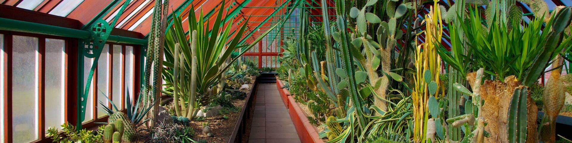 Queen\\\'s Park which includes a park and interior views