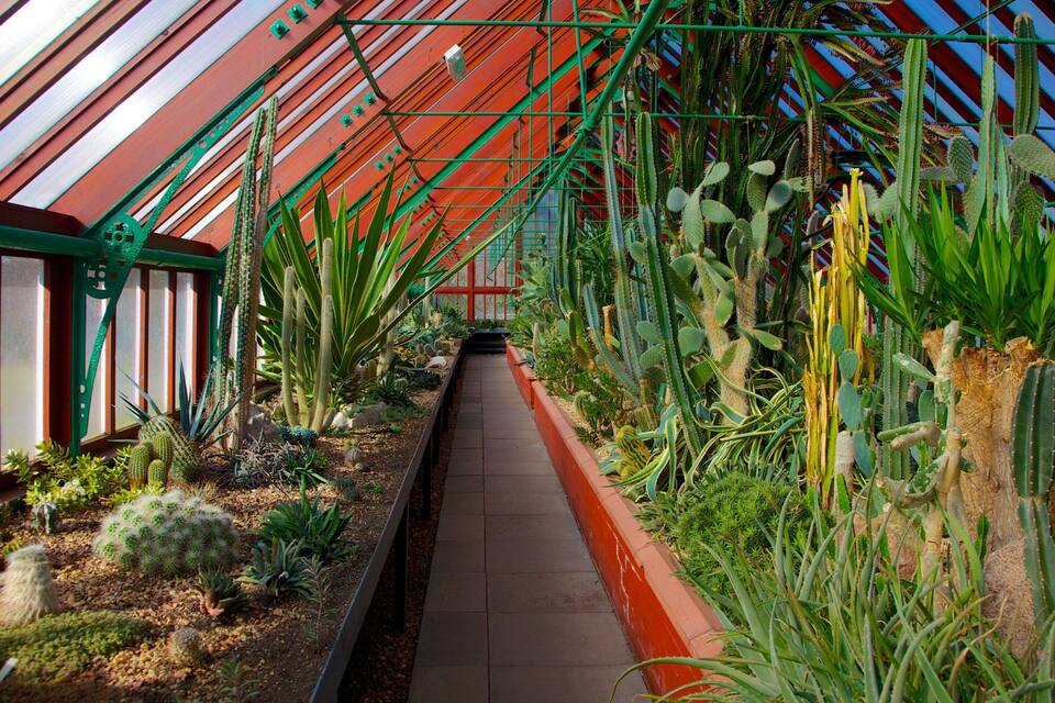 A greenhouse with a variety of cacti and succulents, featuring a metal framework and a concrete pathway.