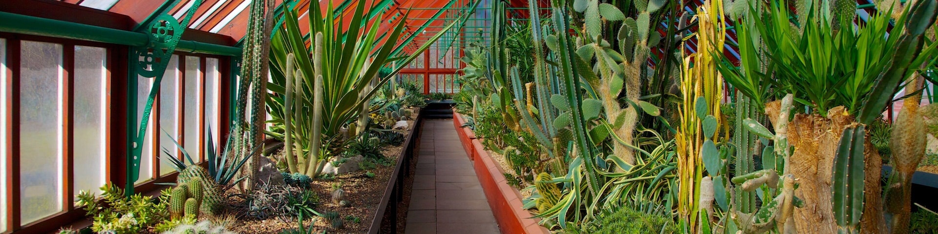 Queen\\\'s Park which includes a park and interior views