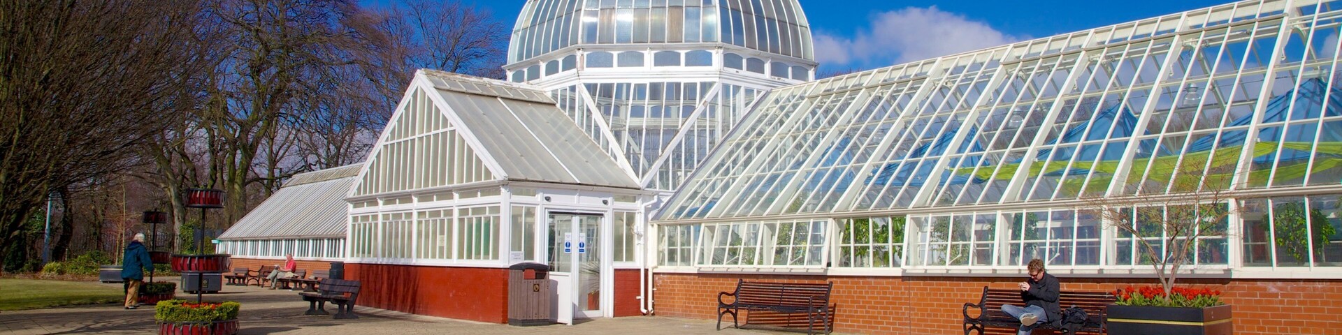 Queen\'s Park mostrando um parque