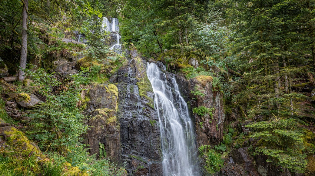 Beautiful waterfall in the Vosges area of France named 'de tendon' This photo is of the large waterfall named 'Grande Cascade de Tendon'
