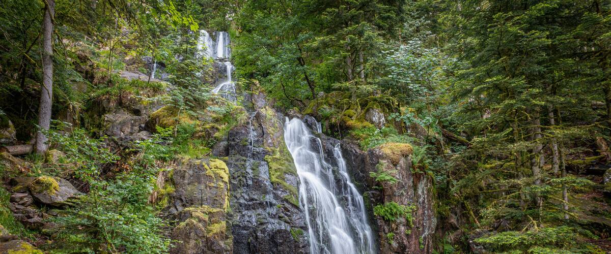 A waterfall cascading down a rocky cliff surrounded by lush greenery.