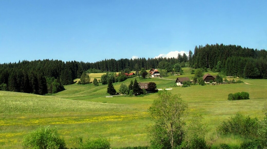 St. Georgen im Schwarzwald, Unterm Wald, Blick aus der Schwarzwaldbahn