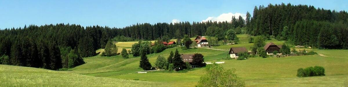 St. Georgen im Schwarzwald, Unterm Wald, Blick aus der Schwarzwaldbahn