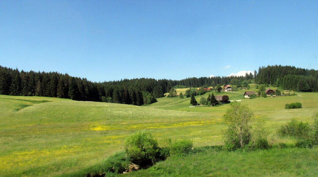 St. Georgen im Schwarzwald, Unterm Wald, Blick aus der Schwarzwaldbahn