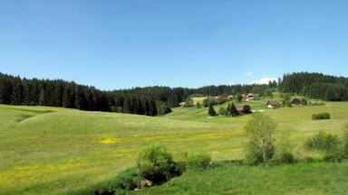 St. Georgen im Schwarzwald, Unterm Wald, Blick aus der Schwarzwaldbahn