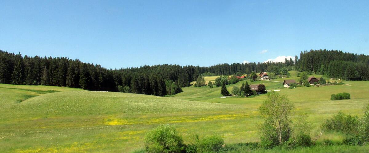 A green field with scattered trees and a few houses in the distance.