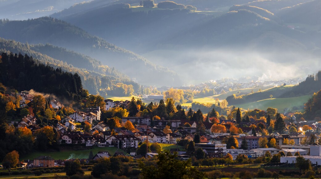 Un poble situat en una vall, envoltat de tardor i rodejat per turons i muntanyes.