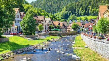 A river flowing through a town with traditional houses, a stone wall, and a forested hill in the background.