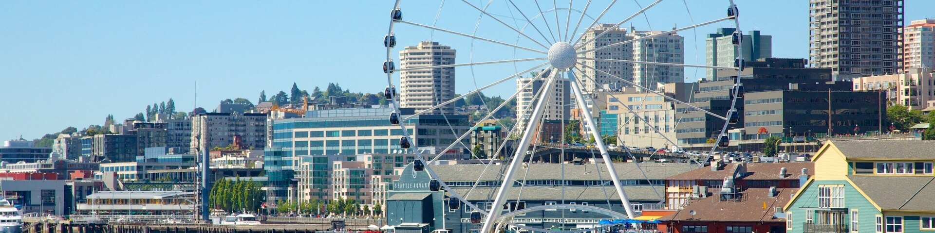 Seattle Great Wheel showing a coastal town, rides and a city
