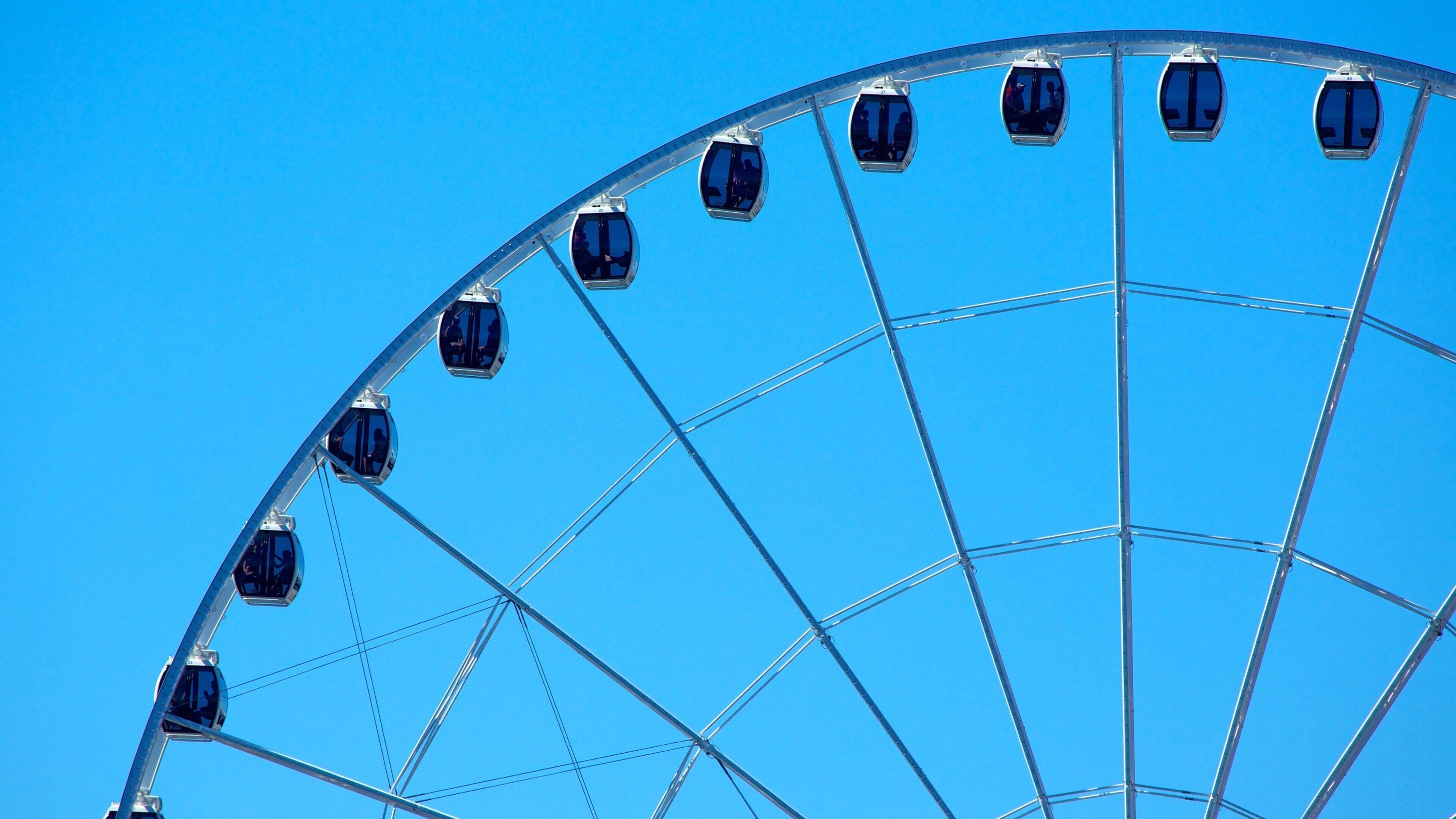 Seattle Great Wheel which includes rides