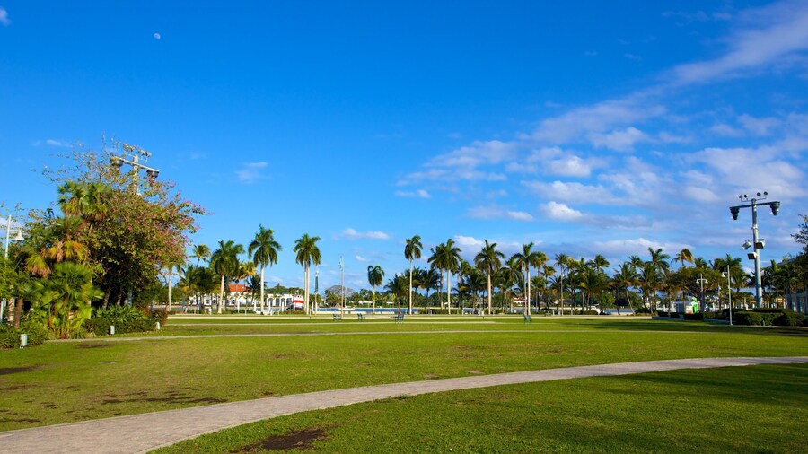 Clematis Street montrant un jardin