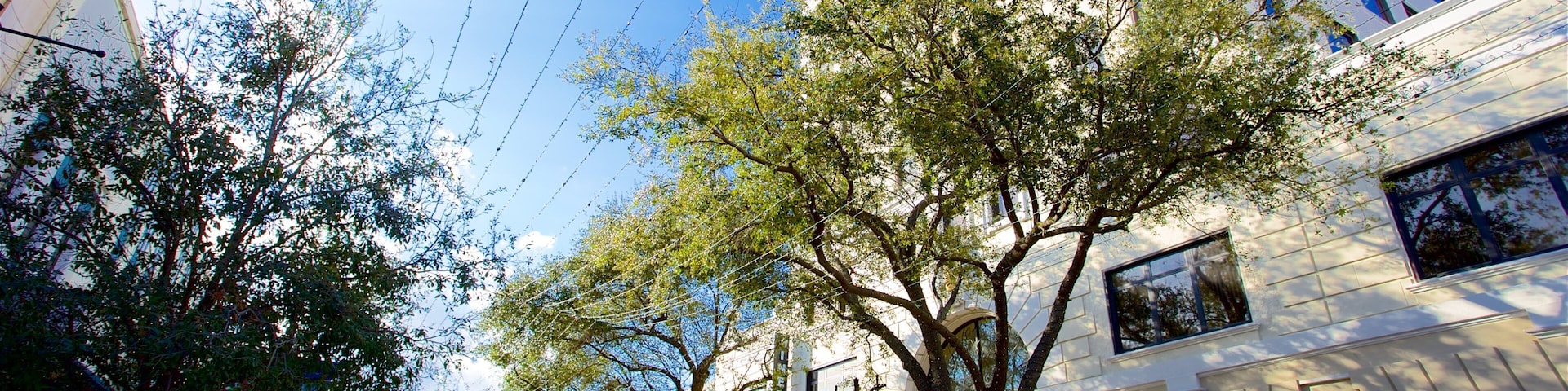 Clematis Street