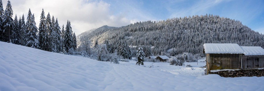 Vielles maisons au lieu-dit Le Rudlin, dans la vallée de la Haute-Meurthe, Vosges, France