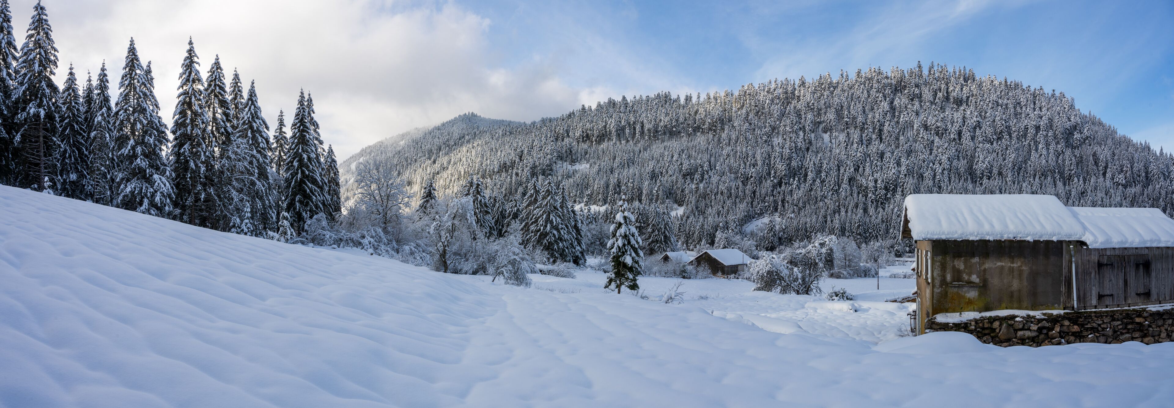 A snowy mountain landscape with a wooden cabin and snow-covered trees.