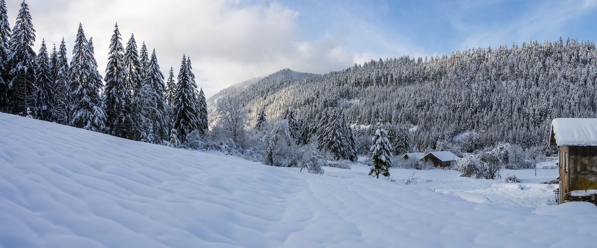 A snowy mountain landscape with a wooden cabin and snow-covered trees.