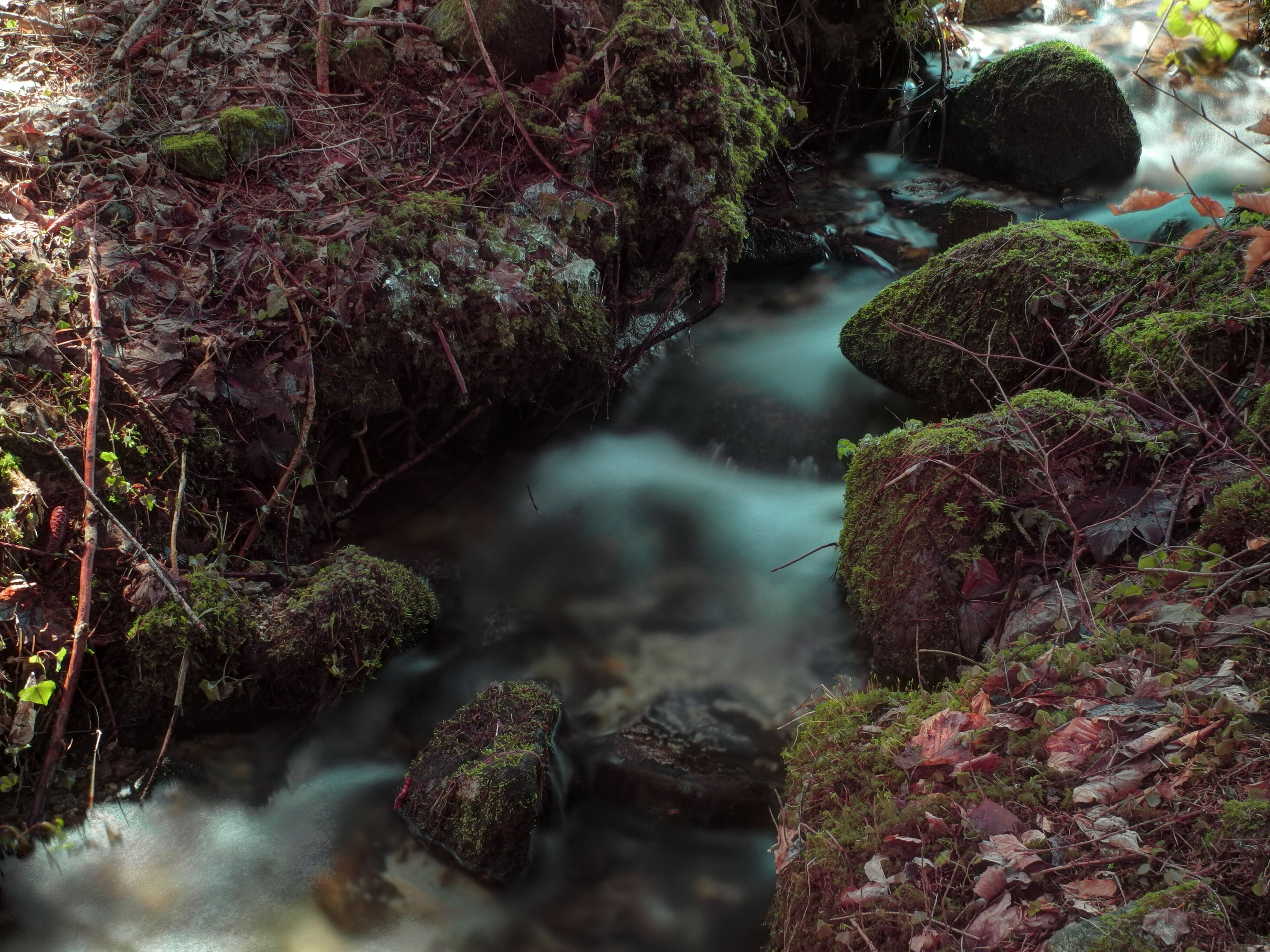 Ditch near the hamlet of Falleurgoutte, Granges-sur-Vologne (Vosges, Lorraine, France) fotographia HDR with a polarizing filter and a ND16.