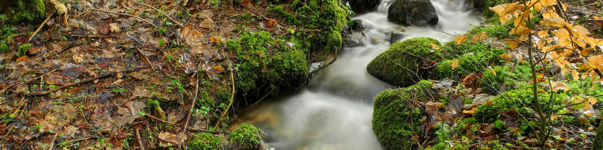 This file was uploaded with Commonist. Rigole à Granges-sur-Vologne. Photo réalisée avec le filtre ND8 intégré du Nikon Coolpix P7100 activé.