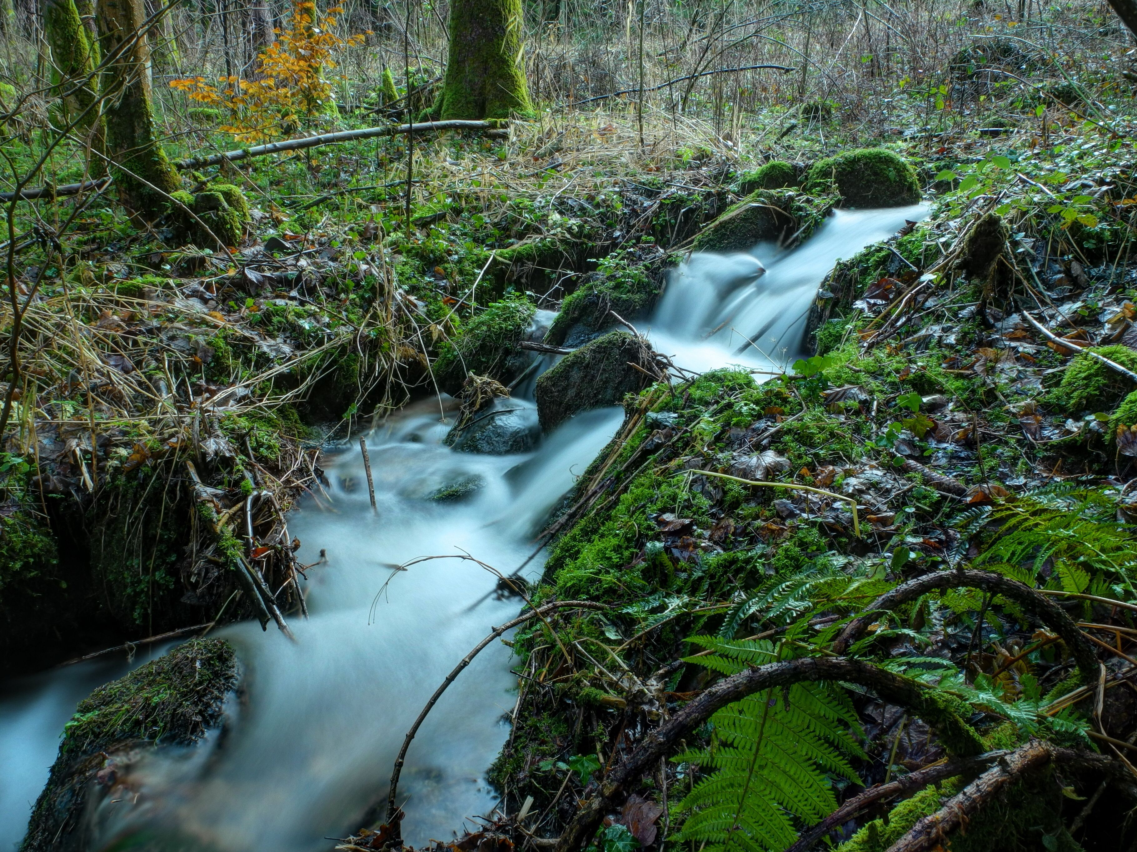 This file was uploaded with Commonist. Rigole à Granges-sur-Vologne. Photo réalisée avec le filtre ND8 intégré du Nikon Coolpix P7100 activé.