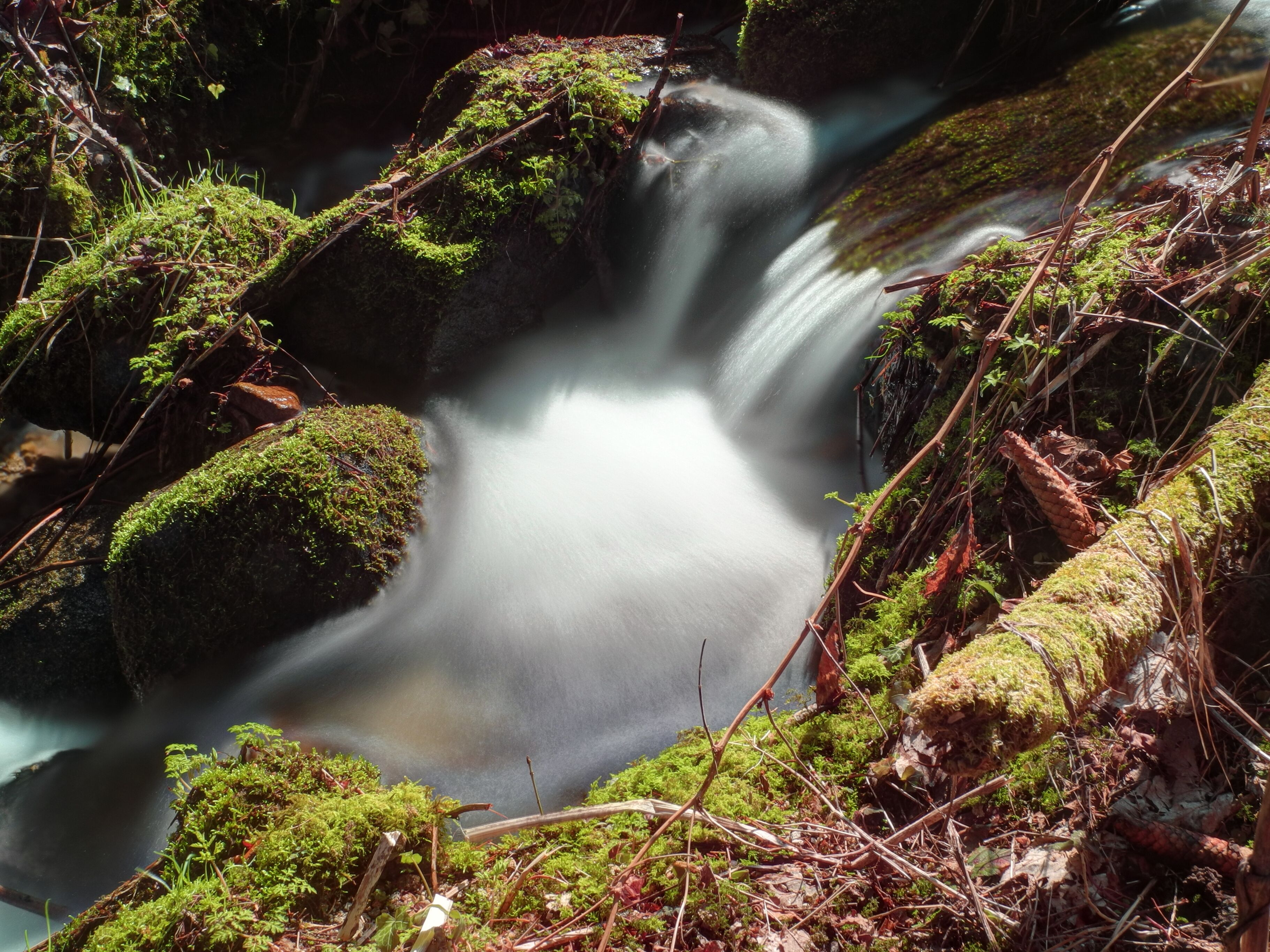 Ditch near the hamlet of Falleurgoutte, Granges-sur-Vologne (Vosges, Lorraine, France) fotographia HDR with a polarizing filter and a ND16.