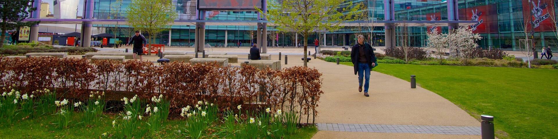MediaCityUK featuring theater scenes, modern architecture and a garden