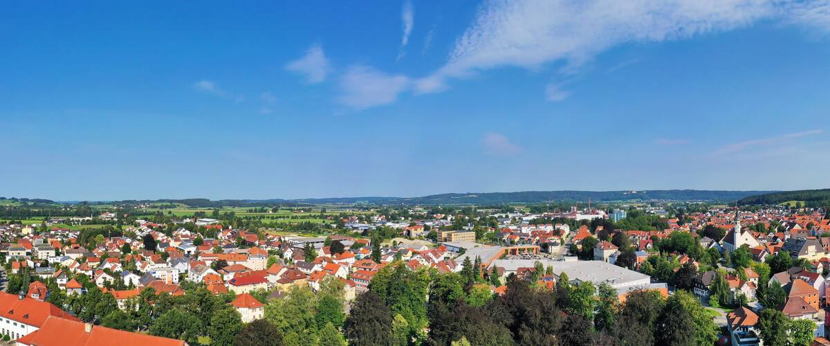 A town with red-roofed buildings, green hills, and a clear blue sky.