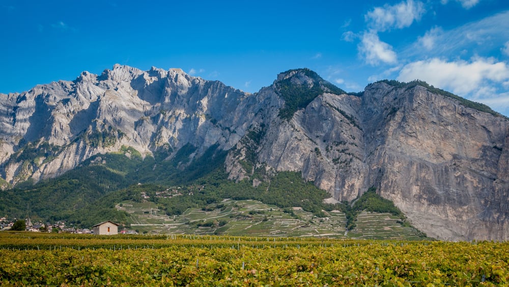 Vignobles du Valais