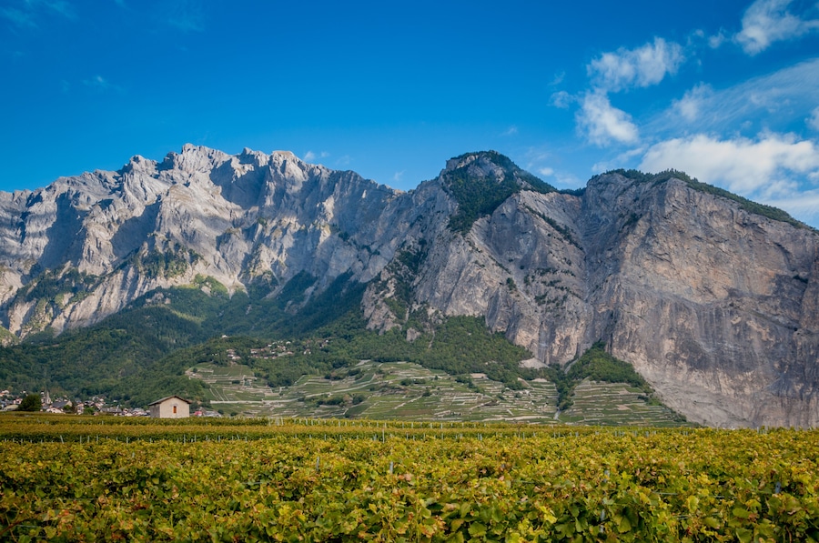 Vignobles du Valais
