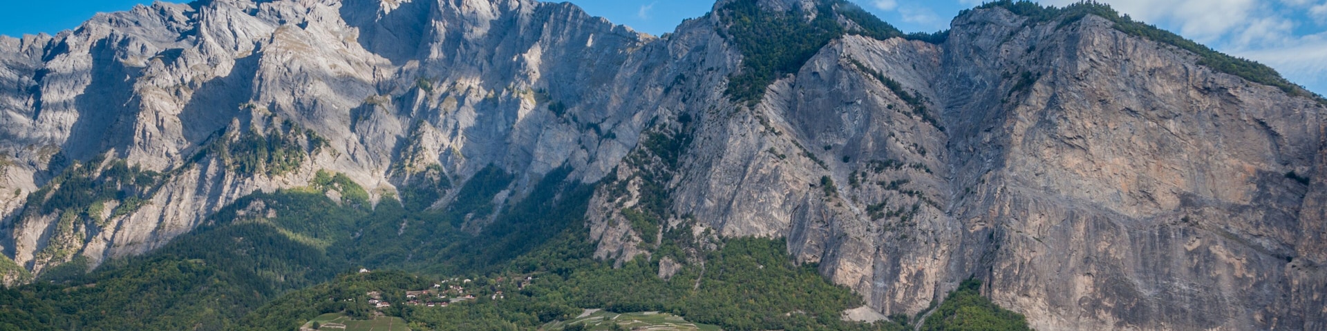 A vineyard in front of a mountain range with a small building in the foreground.