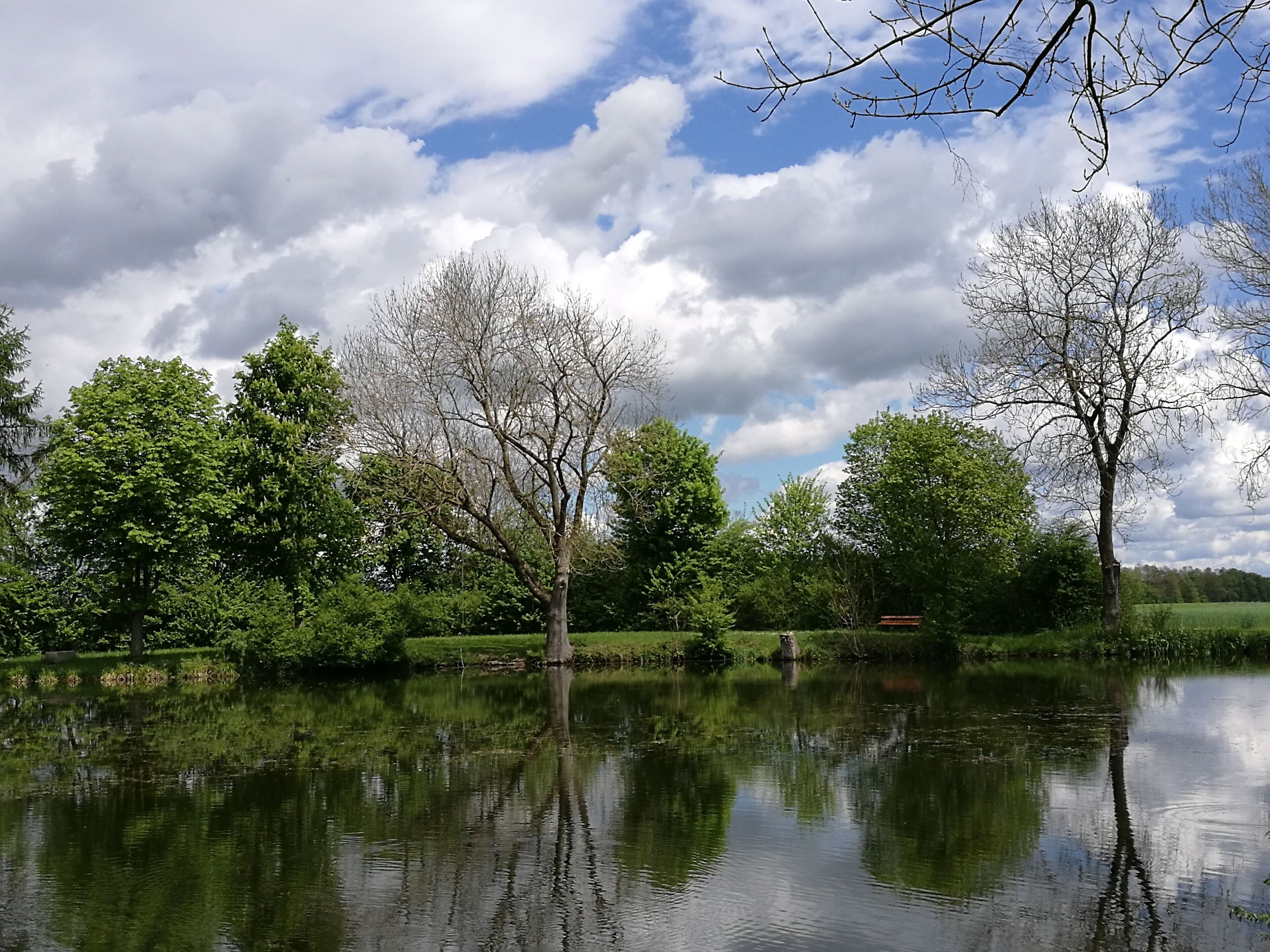 Deutschland (D) - Baden-Württemberg (BW) - Landkreis Biberach (BC) - Bad Schussenried - Reichenbach: Schelme