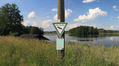 Naturschutzgebiet Schwaigfurter Weiher bei Bad Schussenried - Otterswang