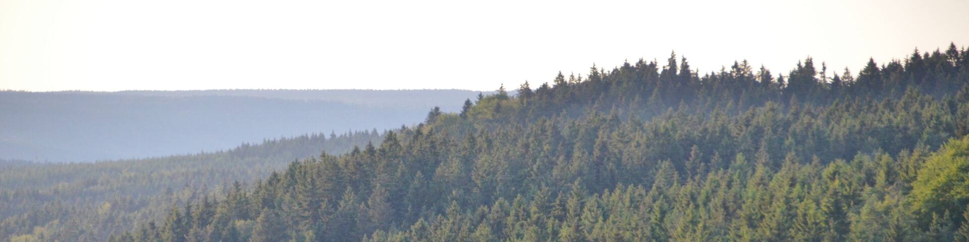 Brunnenkapelle Witthoh