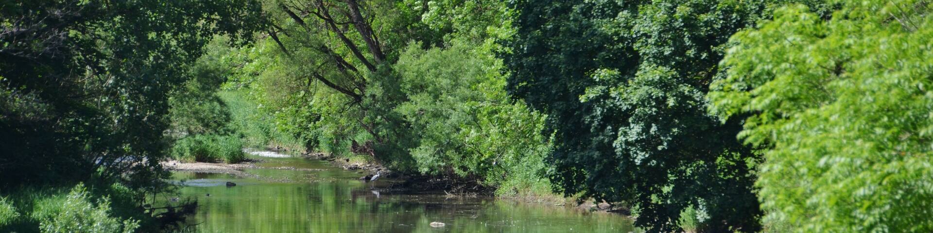 Donau bei Immendingen