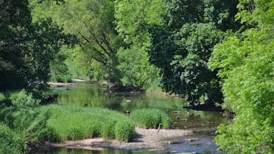 Immendingen
