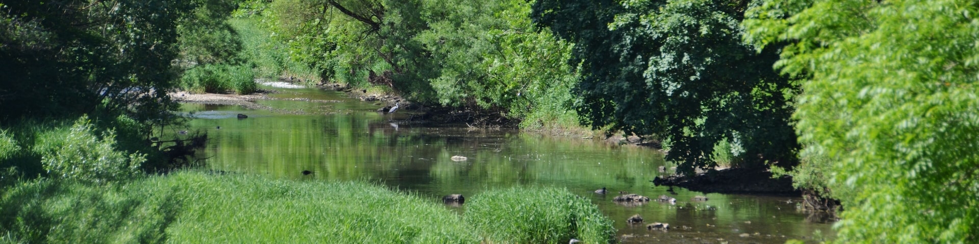 Donau bei Immendingen