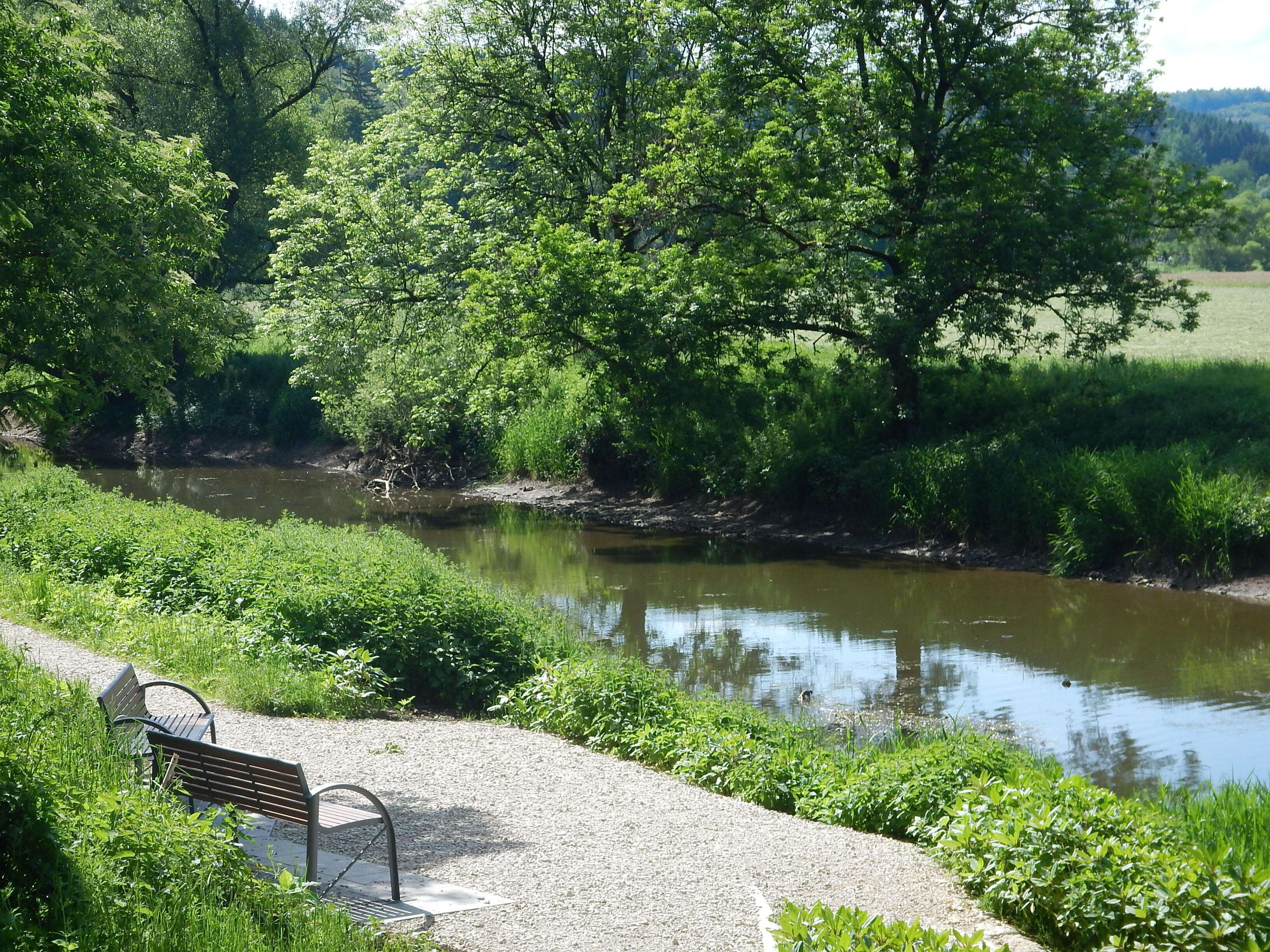 Donauversickerung bei Immendingen