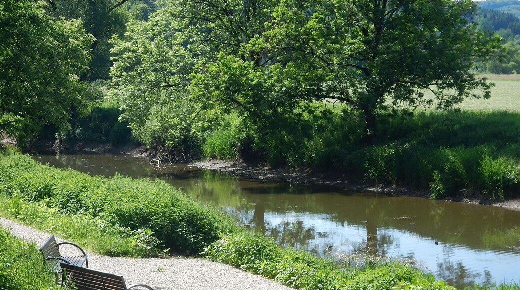 Donauversickerung bei Immendingen