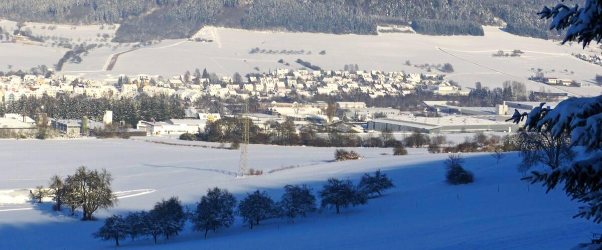 A snow-covered landscape with a town, a forested hill, and a clear sky.