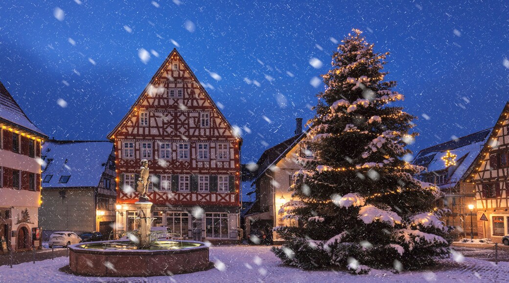 Townhall and half-timbered house, marketplace, Dornstetten, Black Forest, Baden-Wurttemberg, Germany