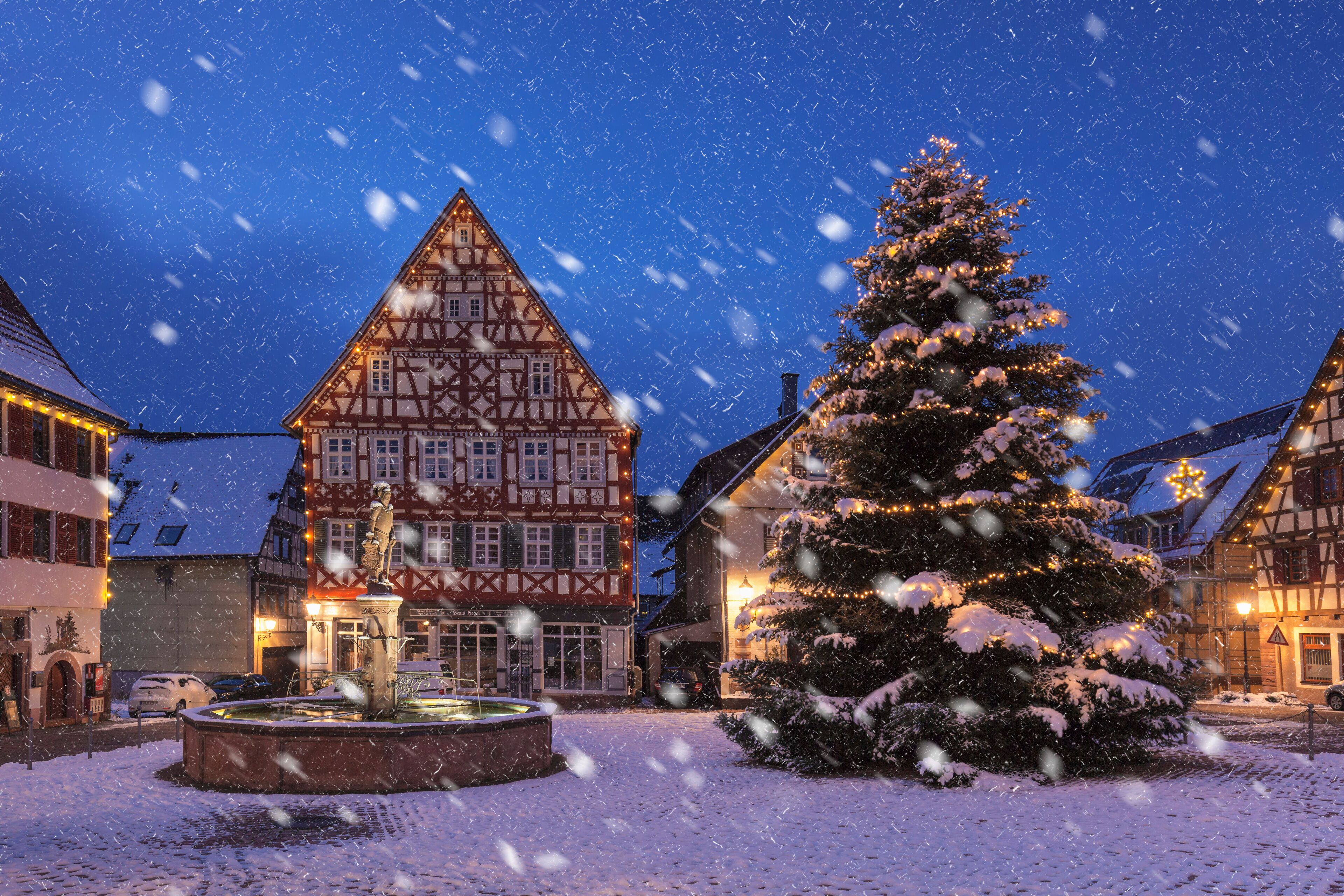 A snow-covered Christmas tree in front of a traditional half-timbered building.