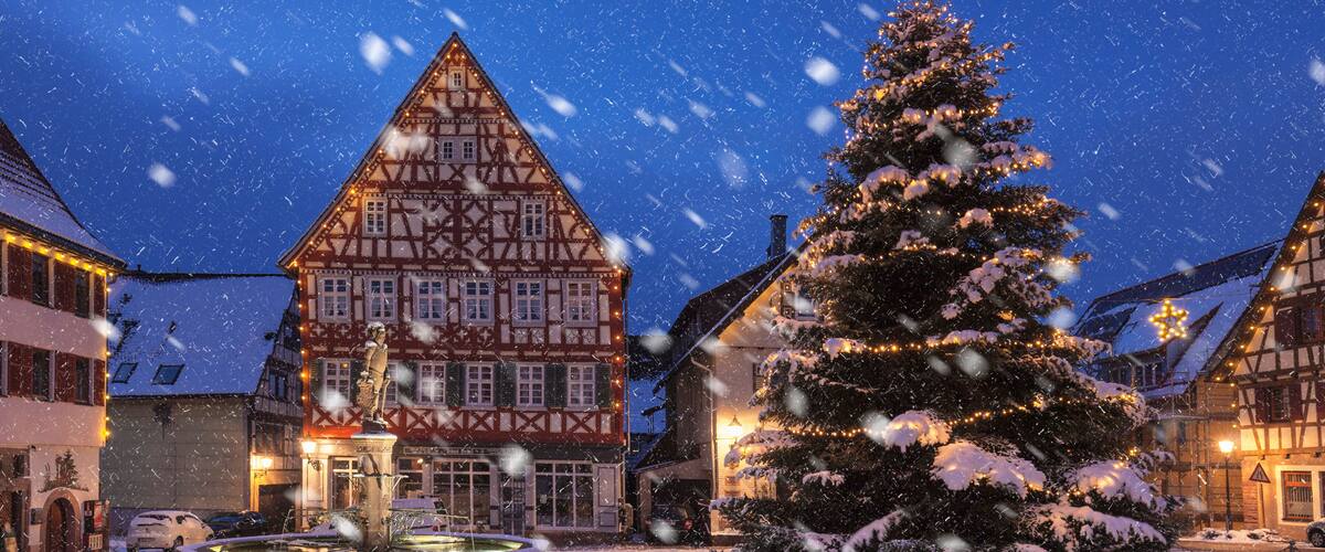 A snow-covered Christmas tree in front of a traditional half-timbered building.