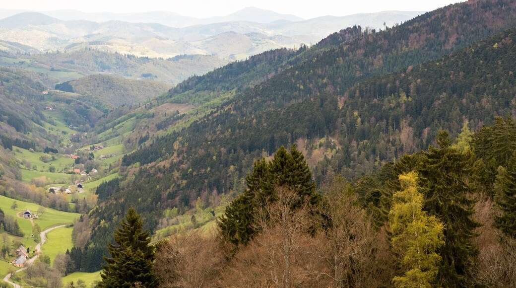Vallée de Sainte-Marie-aux-Mines depuis le Col des Bagenelles