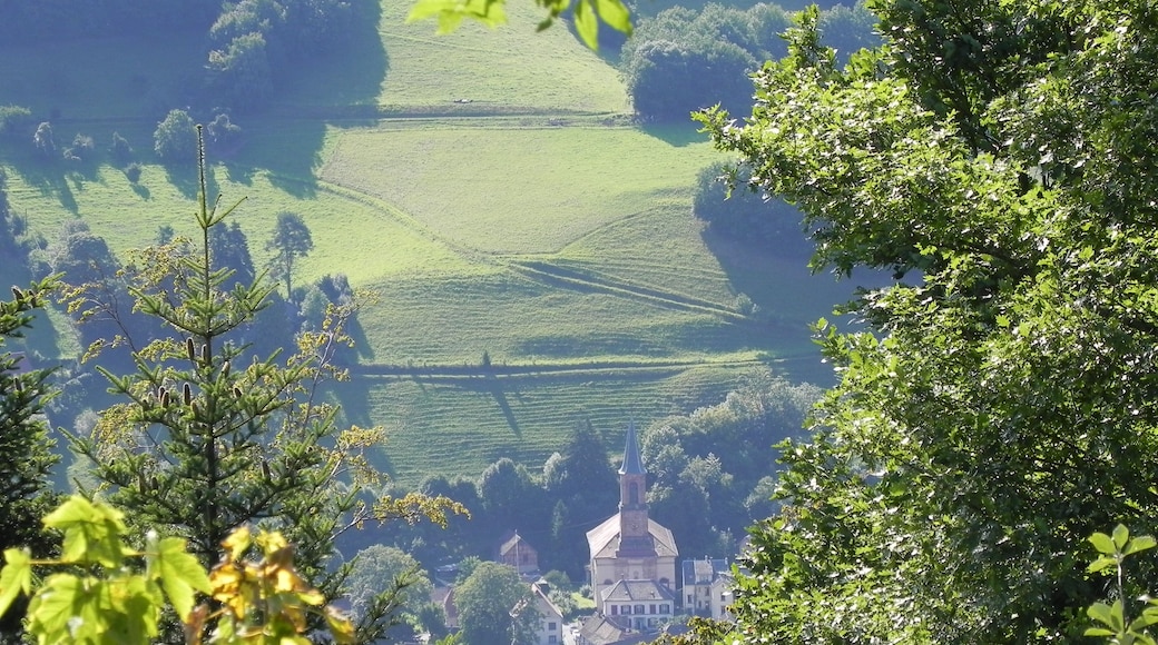 L'église Saint Louis